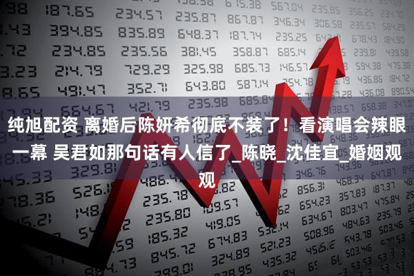 纯旭配资 离婚后陈妍希彻底不装了！看演唱会辣眼一幕 吴君如那句话有人信了_陈晓_沈佳宜_婚姻观